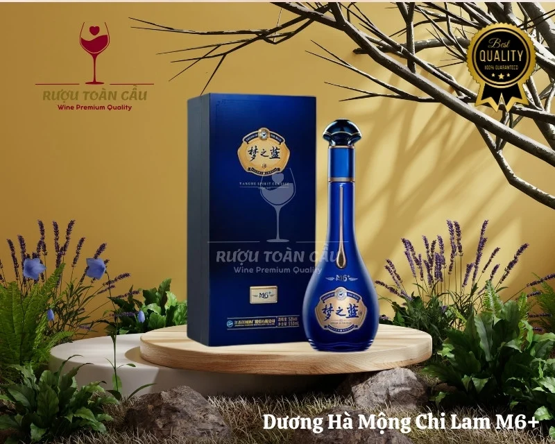 duong-ha-mong-chi-lam-m6+