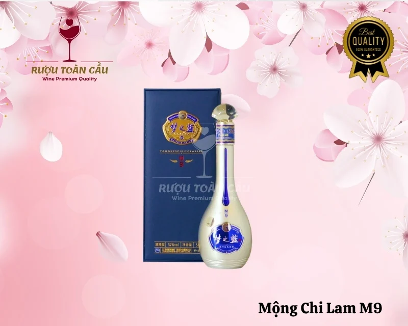 mong-chi-lam-m9
